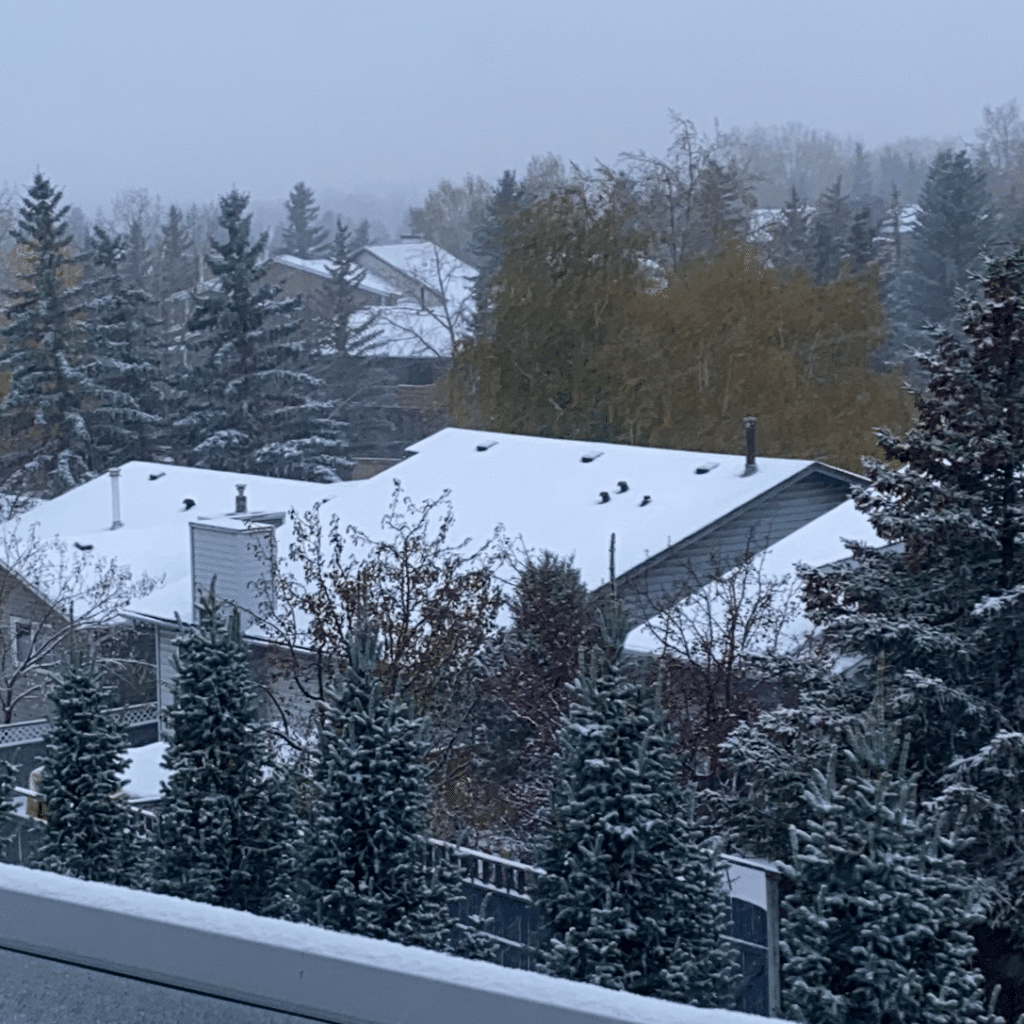 Roof Snow Removal Calgary - No Payne Roofing