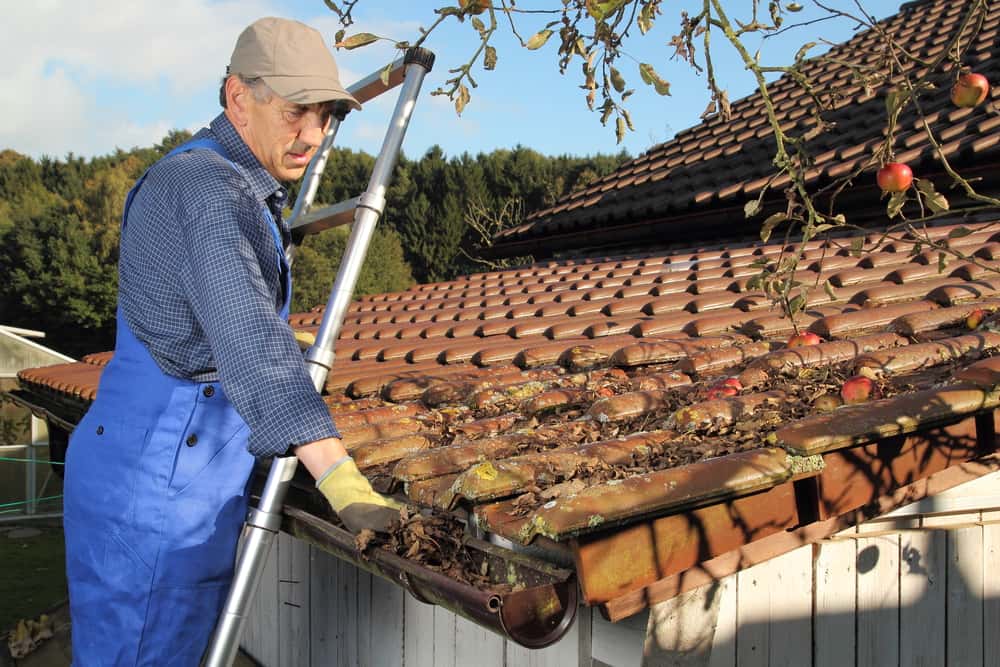 Gutter Cleaning Services in Calgary